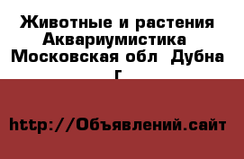 Животные и растения Аквариумистика. Московская обл.,Дубна г.